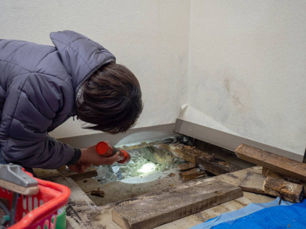 Best Post-Remediation Verification Testing  in Sumner, IA