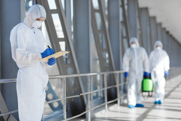 Best Basement Mold Removal  in Sumner, IA