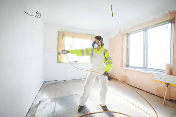 Best Mold Odor Removal Services  in Sumner, IA