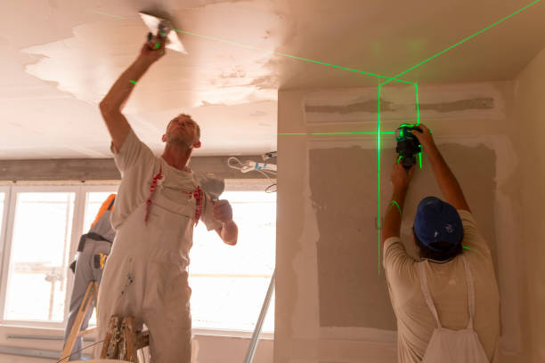 Trusted Sumner, IA Mold Removal Experts