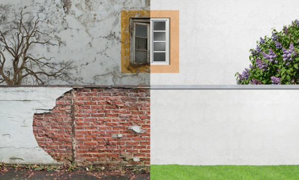 Best Mold Documentation for Insurance Claims  in Sumner, IA