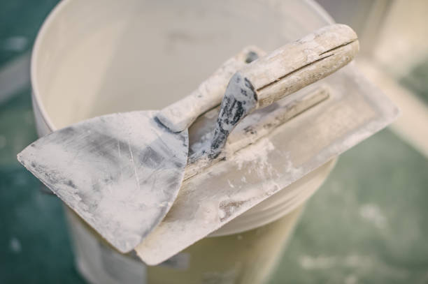 Best Industrial Mold Remediation  in Sumner, IA